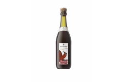 Vin Lambrusco Gualtieri Rouge